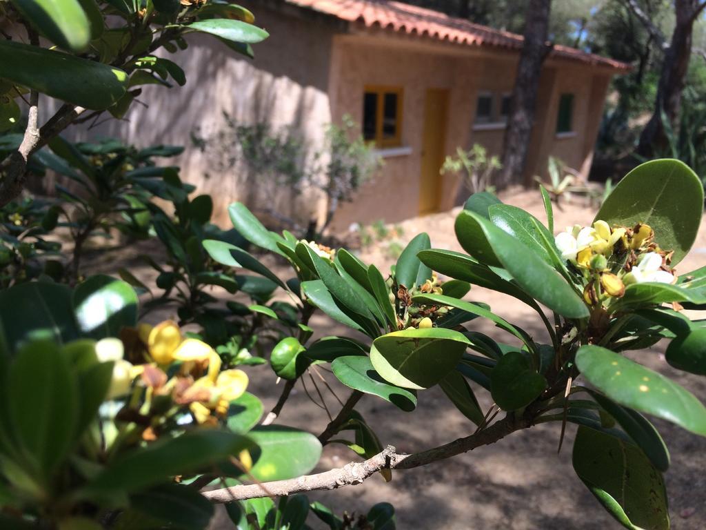 Air Sport Soleil Hotel Hyères Zewnętrze zdjęcie